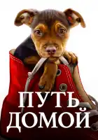 Путь домой смотреть онлайн (2019)