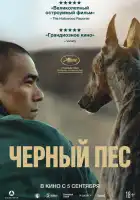 Чёрный пёс смотреть онлайн (2024)