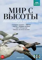 Мир с высоты птичьего полета смотреть онлайн тв шоу 1 сезон